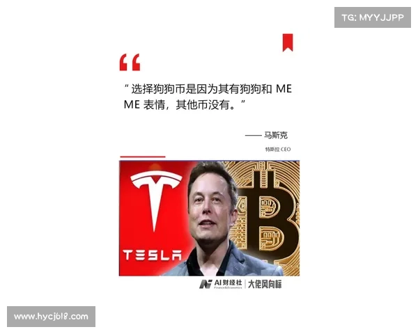 七技造称，完美必备。